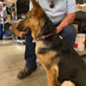 Meet your Posher, Doyle